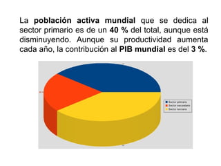 La población activa mundial que se dedica al
sector primario es de un 40 % del total, aunque está
disminuyendo. Aunque su productividad aumenta
cada año, la contribución al PIB mundial es del 3 %.
 