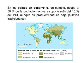 En los países en desarrollo, en cambio, ocupa al
50 % de la población activa y supone más del 10 %
del PIB, aunque su productividad es baja (cultivos
tradicionales).
 