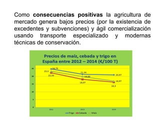 Como consecuencias positivas la agricultura de
mercado genera bajos precios (por la existencia de
excedentes y subvenciones) y ágil comercialización
usando transporte especializado y modernas
técnicas de conservación.
 