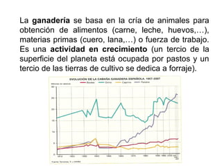 La ganadería se basa en la cría de animales para
obtención de alimentos (carne, leche, huevos,…),
materias primas (cuero, lana,…) o fuerza de trabajo.
Es una actividad en crecimiento (un tercio de la
superficie del planeta está ocupada por pastos y un
tercio de las tierras de cultivo se dedica a forraje).
 