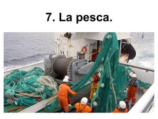 7. La pesca.
 