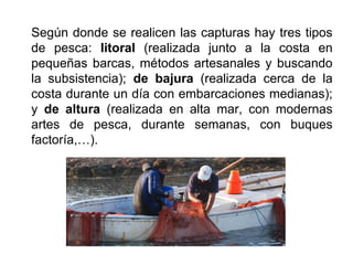 Según donde se realicen las capturas hay tres tipos
de pesca: litoral (realizada junto a la costa en
pequeñas barcas, métodos artesanales y buscando
la subsistencia); de bajura (realizada cerca de la
costa durante un día con embarcaciones medianas);
y de altura (realizada en alta mar, con modernas
artes de pesca, durante semanas, con buques
factoría,…).
 