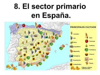 8. El sector primario
en España.
 