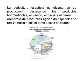 La agricultura española es diversa en su
producción, destacando los productos
hortofrutícolas, el viñedo, el olivar y el cereal. El
comercio de productos agrícolas españoles se
realiza hacia o desde otros países de Europa.
 