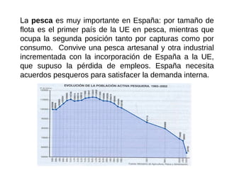 La pesca es muy importante en España: por tamaño de
flota es el primer país de la UE en pesca, mientras que
ocupa la segunda posición tanto por capturas como por
consumo. Convive una pesca artesanal y otra industrial
incrementada con la incorporación de España a la UE,
que supuso la pérdida de empleos. España necesita
acuerdos pesqueros para satisfacer la demanda interna.
 