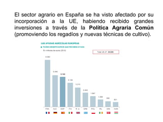 El sector agrario en España se ha visto afectado por su
incorporación a la UE, habiendo recibido grandes
inversiones a través de la Política Agraria Común
(promoviendo los regadíos y nuevas técnicas de cultivo).
 