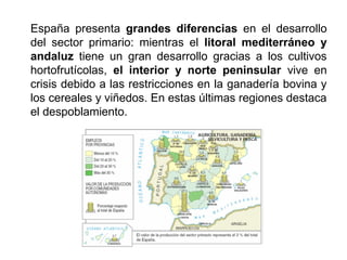 España presenta grandes diferencias en el desarrollo
del sector primario: mientras el litoral mediterráneo y
andaluz tiene un gran desarrollo gracias a los cultivos
hortofrutícolas, el interior y norte peninsular vive en
crisis debido a las restricciones en la ganadería bovina y
los cereales y viñedos. En estas últimas regiones destaca
el despoblamiento.
 