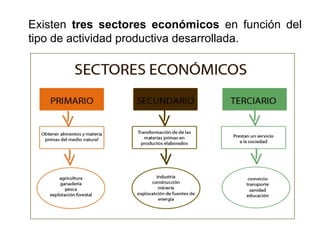 Existen tres sectores económicos en función del
tipo de actividad productiva desarrollada.
 
