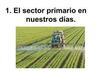 1. El sector primario en
nuestros días.
 