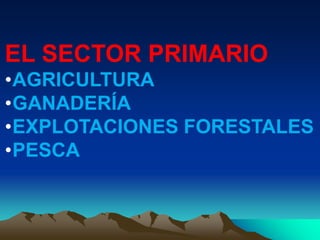 EL SECTOR PRIMARIO
•AGRICULTURA
•GANADERÍA
•EXPLOTACIONES FORESTALES
•PESCA
 