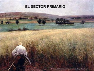 EL SECTOR PRIMARIO ©  Consuelo López López. Departamento de Geografía e Historia 