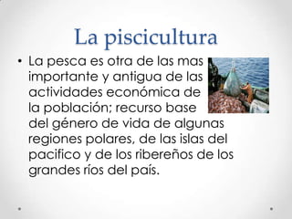 La piscicultura
• La pesca es otra de las mas
importante y antigua de las
actividades económica de
la población; recurso base
del género de vida de algunas
regiones polares, de las islas del
pacifico y de los ribereños de los
grandes ríos del país.

 