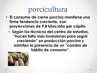 porcicultura
• El consumo de carne porcina mantiene una
firme tendencia creciente, con
proyecciones de 9,8 kilos/año per cápita.
• Según los técnicos del centro de estudios,
“hacen falta más inversiones para seguir
creciendo” en producción porcina y
admiten la presencia de un “cambio de
hábito de consumo”.

 