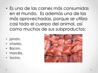 • Es una de las carnes más consumidas
en el mundo. Es además una de las
más aprovechadas, porque se utiliza
casi todo el cuerpo del animal, así
como muchos de sus subproductos:
•
•
•
•
•

jamón,
chorizo,
Bacon,
morcilla,
tocino.

 