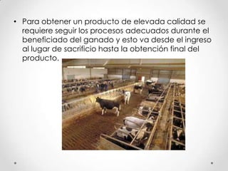 • Para obtener un producto de elevada calidad se
requiere seguir los procesos adecuados durante el
beneficiado del ganado y esto va desde el ingreso
al lugar de sacrificio hasta la obtención final del
producto.

 