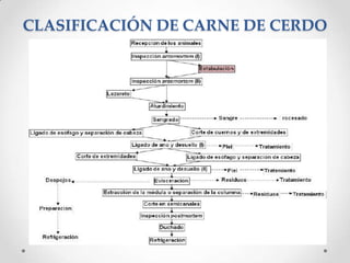 CLASIFICACIÓN DE CARNE DE CERDO

 