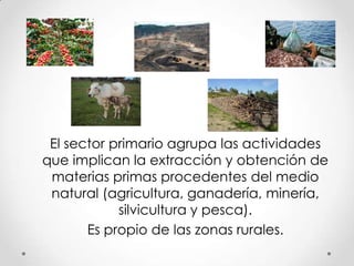 El sector primario agrupa las actividades
que implican la extracción y obtención de
materias primas procedentes del medio
natural (agricultura, ganadería, minería,
silvicultura y pesca).
Es propio de las zonas rurales.

 