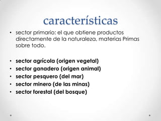 características
• sector primario: el que obtiene productos
directamente de la naturaleza, materias Primas
sobre todo.
•
•
•
•
•

sector agrícola (origen vegetal)
sector ganadero (origen animal)
sector pesquero (del mar)
sector minero (de las minas)
sector forestal (del bosque)

 