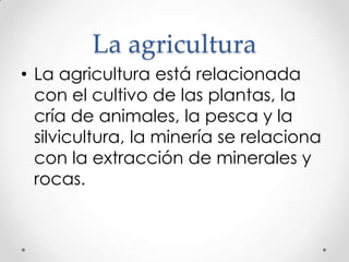 La agricultura
• La agricultura está relacionada
con el cultivo de las plantas, la
cría de animales, la pesca y la
silvicultura, la minería se relaciona
con la extracción de minerales y
rocas.

 