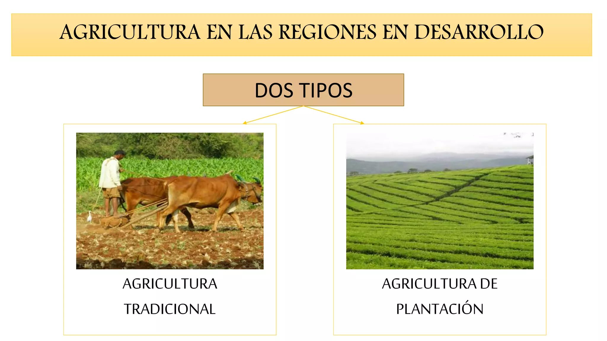 Agricultura de países en desarrollo