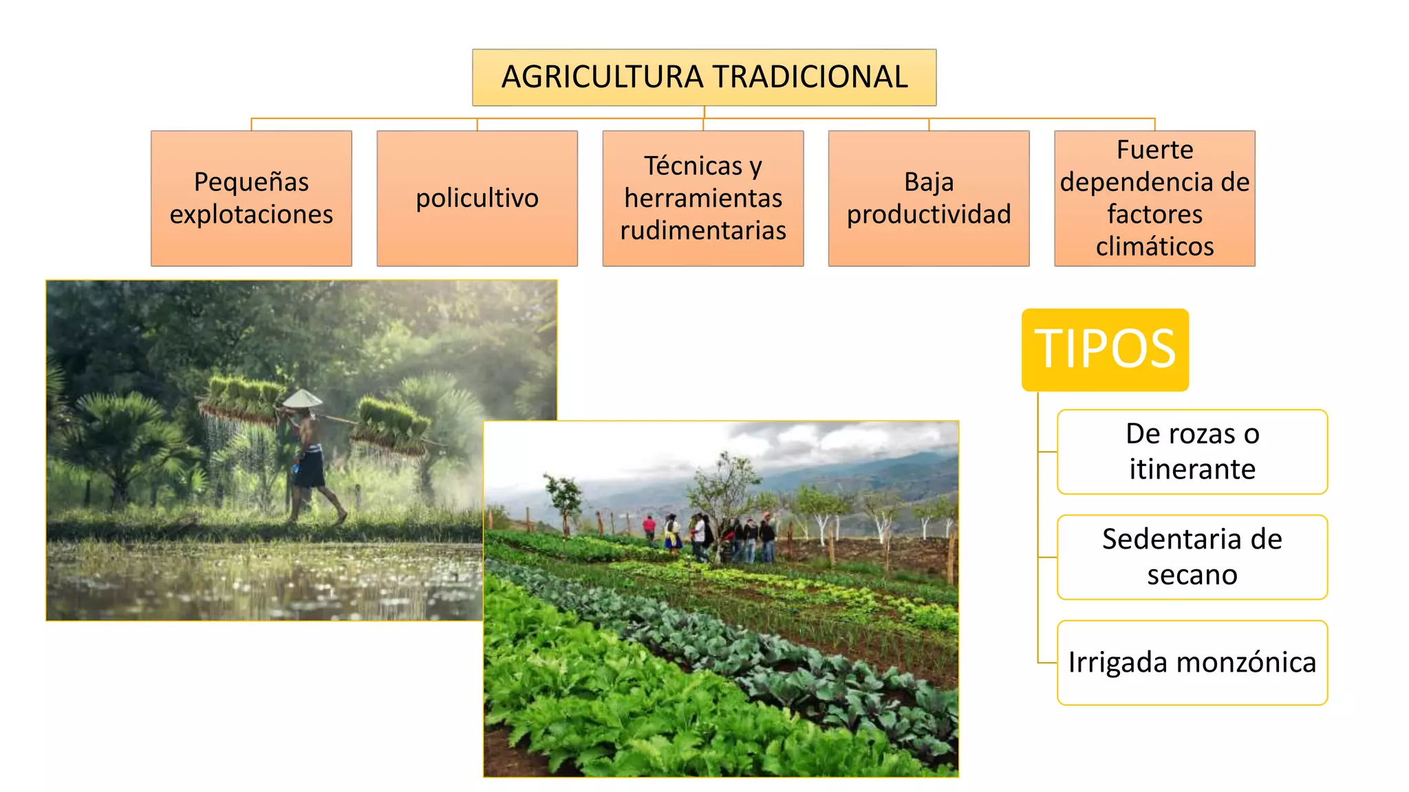 Agricultura tradicional