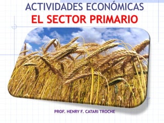 ACTIVIDADES ECONÓMICAS
EL SECTOR PRIMARIO
PROF. HENRY F. CATARI TROCHE
 