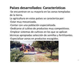 Países desarrollados: Características
·Se encuentran en su mayoría en las zonas templadas
de la tierra.
La agricultura en estos países se caracteriza por:
·Estar muy mecanizada.
·Contar con una población especializada.
·Dedicarse al cultivo de productos muy competitivos.
·Emplear sistemas de cultivos en los que se aplican
técnicas apropiadas selección de semillas y fertilizantes.
·Especializar zonas en productos escogidos.
15
 