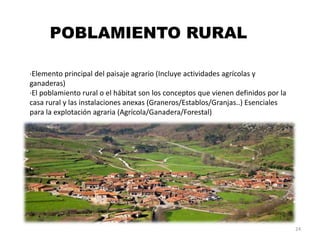POBLAMIENTO RURAL
·Elemento principal del paisaje agrario (Incluye actividades agrícolas y
ganaderas)
·El poblamiento rural o el hábitat son los conceptos que vienen definidos por la
casa rural y las instalaciones anexas (Graneros/Establos/Granjas..) Esenciales
para la explotación agraria (Agrícola/Ganadera/Forestal)
24
 