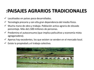 :PAISAJES AGRARIOS TRADICIONALES
 Localizados en países poco desarrollados.
 Tecnología precaria y con ella gran dependencia del medio físico.
 Mucha mano de obra y trabajo. Población activa agraria de elevado
porcentaje. Más de1.500 millones de personas.
 Predomina el autoconsumo (que implica policultivo y economía mixta
agroganadera).
 Apenas hay excedentes, los que existen se venden en el mercado local.
 Existe la propiedad y el trabajo colectivo.
 