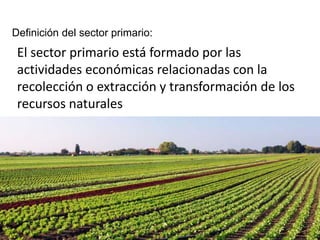 Definición del sector primario:
El sector primario está formado por las
actividades económicas relacionadas con la
recolección o extracción y transformación de los
recursos naturales
3
 