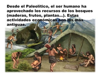 Desde el Paleolítico, el ser humano ha
aprovechado los recursos de los bosques
(maderas, frutos, plantas...). Estas
actividades económicas son las más
antiguas.
4
 