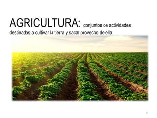 AGRICULTURA: conjuntos de actividades
destinadas a cultivar la tierra y sacar provecho de ella
6
 