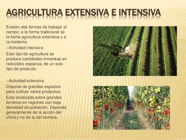 Sector Primario3ºB