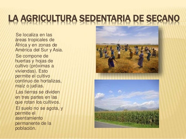 Resultado de imagen de agricultura sedentaria de secano