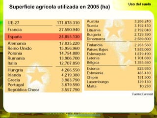 Uso del suelo
Superficie agrícola utilizada en 2005 (ha)




                        www.profesorfrancisco.es
 