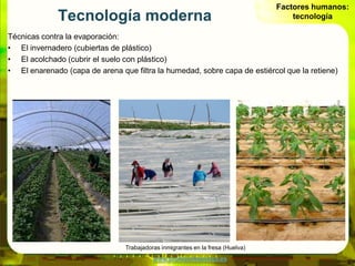 Factores humanos:
              Tecnología moderna                                                    tecnología

Técnicas...