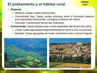 Hábitat
El poblamiento y el hábitat rural.                               rural

– Disperso.
   • Absoluto. Casas rurales d...