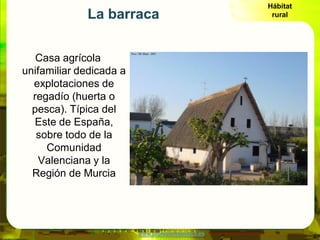 Hábitat
             La barraca                              rural




   Casa agrícola
unifamiliar dedicada a
  explotaci...