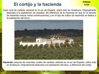 Hábitat
           El cortijo y la hacienda                                               rural

Casa rural de carácter se...
