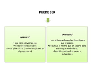 PUEDE SER
INTENSIVO
• aire libre o invernadero
•Varias cosechas anuales
•Frutas y hortalizas (cultivos tropicales en
algunos casos)
EXTENSIVO
• una sola cosecha en la misma época
que el secano
• Se cultiva lo mismo que en secano pero
con mayor rendimiento
•También cultivos forrajeros e
industriales
 