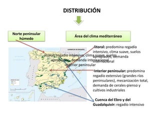 DISTRIBUCIÓN
Norte peninsular
húmedo
Área del clima mediterráneo
-litoral: predomina regadío
intensivo, clima suave, suelos
apropiados, demanda
internacional
-Interior peninsular: predomina
regadío extensivo (grandes ríos
peninsulares), mecanización total,
demanda de cerales-pienso y
cultivos industriales
- Cuenca del Ebro y del
Guadalquivir: regadío intensivo
-litoral: regadío intensivo, clima suave, suelos
apropiados, demanda internacional
-Interior peninsular
 