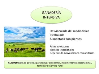 GANADERÍA
INTENSIVA
Desvinculada del medio físico
Estabulada
Alimentada con piensos (Depende
de los piensos importados y de la
industria transformadora)
Cerca de centros de consumo urbano
Asociada a razas extranjeras,
seleccionadas
Utiliza técnicas modernas
Desde 1960 gana peso a causa de la reducción de las áreas de pasto y por mayor
demanda de productos ganaderos
 