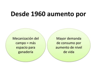 Desde 1960 aumento por
Mecanización del
campo = más
espacio para
ganadería
Mayor demanda
de consumo por
aumento de nivel
de vida
 