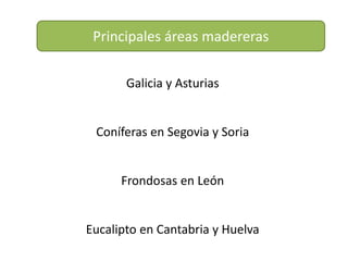 Principales áreas madereras
Galicia y Asturias
Coníferas en Segovia y Soria
Frondosas en León
Eucalipto en Cantabria y Huelva
 