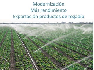 Modernización
Más rendimiento
Exportación productos de regadío
 