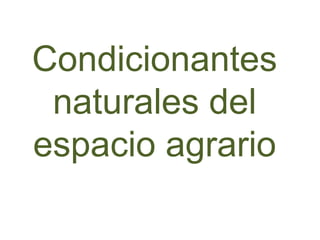Condicionantes
naturales del
espacio agrario
 