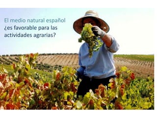 El medio natural español
¿es favorable para las
actividades agrarias?
 