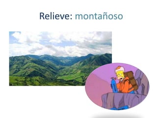 Relieve: montañoso
 