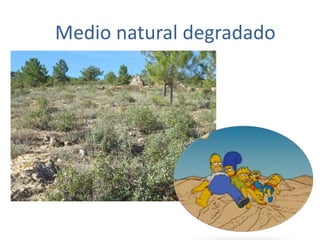 Medio natural degradado
 