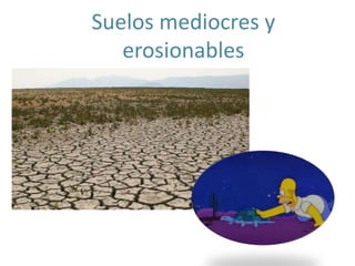 Suelos mediocres y
erosionables
 